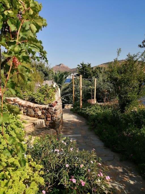 Villa Casa Dei Melograni At Vourlidia Leros à Vromolithos Extérieur photo